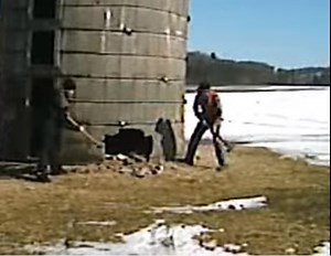UNCUT funny dancing falling silo