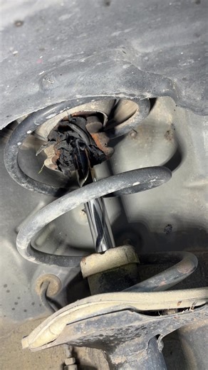 Front Struts and Links for Your Old Corolla