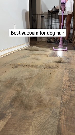 Top Vacuum for Dog Hair: Cleaning Made Easy