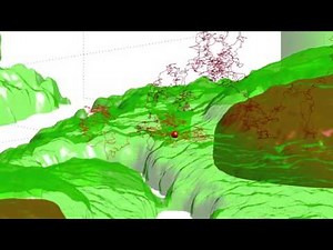 VIDEO. Le mouvement d'un virus qui attaque une cellule