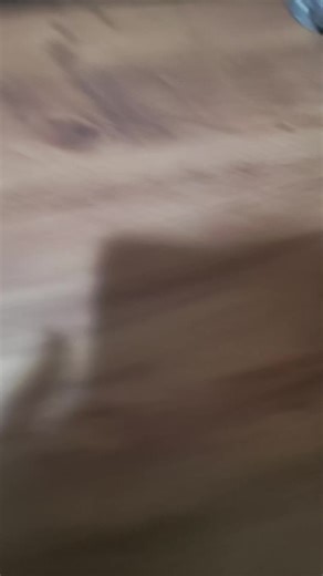 redmi k40 gaming > Poco f3 gt 🫩