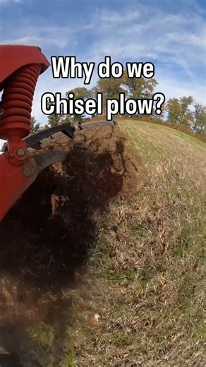 When I was younger- like in the 70s the farmers would use a mold board plow- which literally turned the soil over. The farmers would lay off lands. It was very time consuming and slow. Chisel plowing allows some of the same benefits of mold board plowing without complete inversion. If you farm drop a comment and let me know where you farm and what tillage practices you have please. | Sandy Tuttle