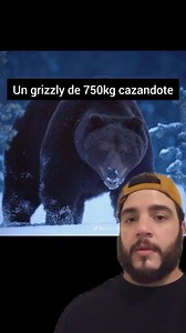 6.1K views · 152 reactions | 1000$ vs un Grizzly #versus | animaldex | Facebook