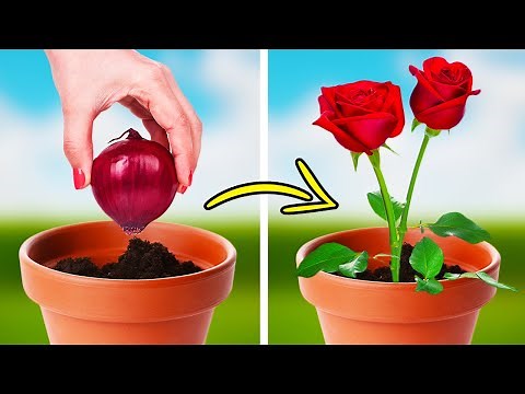 INCROYABLES CONSEILS DE JARDINAGE ET ASTUCES POUR FAIRE POUSSER TES PLANTES