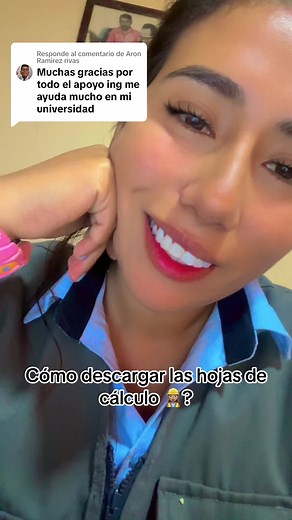 Cómo descargar las hojas de cálculo 👷🏽‍♀️?