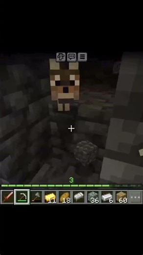 Wow!🐕 MINECRAFT DUNGEONS🤩 I LOVE YOU ALL SO MUCH AND HUGS FOR EVERYONE🤗❤️ #minecraft #shorts #vir...