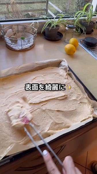 ドイツおばあちゃんの簡単レモンシートケーキレシピ🍋👵