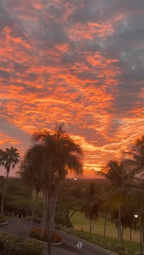 Precioso amanecer, por Maritere Oramas | Roberto Cortes T2