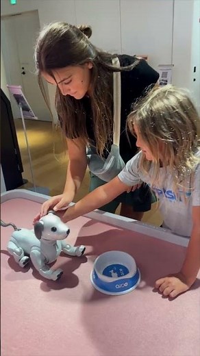 Meeting Aibo: The Robot Dog Experience in Tokyo! 🤖🐶