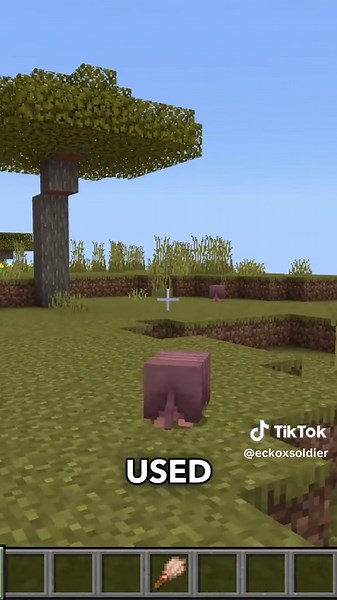8 Facts About The Minecraft Armadillo Mob