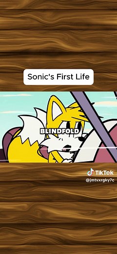 Sonic's First Life: Episode 2 — Animated History