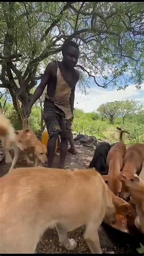 The Ultimate Bond: Feeding Our Most Trusted Companions! ❤️#DogFeeding #DogLovers #ManAndDog#DogPack