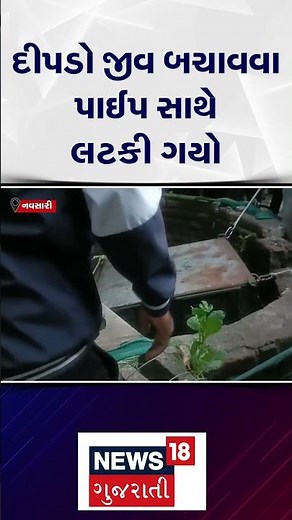 Navsari Leopard News | દીપડો જીવ બચાવવા પાઈપ સાથે લટકી ગયો | Well | Rescue | N18S