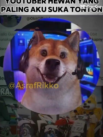 obit si anjing 🐶💀 ‪@Obit‬ #shorts #anjing