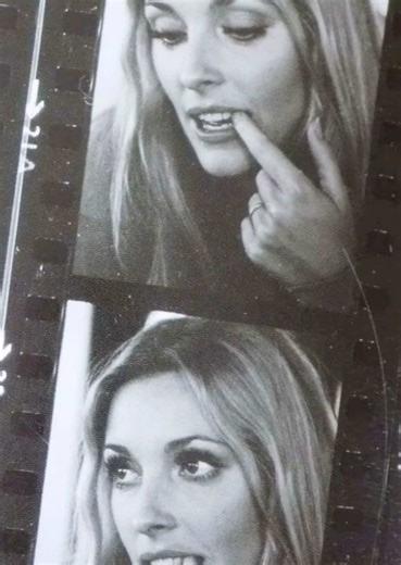 the reason i have the ego i do today is because i used to get told i looked like her when i had long hair || i was lowk digging in tobies purse for this tags || @max ✪ @♱ @༘˚୨୧｡ mystic ⋆𖦹˙✧˚ @⸸ tobie ☣︎ @Kenickie - Dirges Conjux @cameron ☣︎ @🐰🎬 @thinsonny @lulu𝜗𝜚 ࣪˖ ♰☣︎ #sharontate #sharontateedit #onceuponatimeinhollywood #sharontateonceuponatimeinhollywood #edit key words sharon tate sharon tate edit edit once upon a time in hollywood once upon a time in hollywood edit sharon tate once up