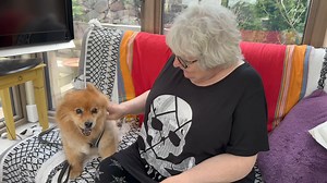 Wee Dougall | Janey Godley's FanPage