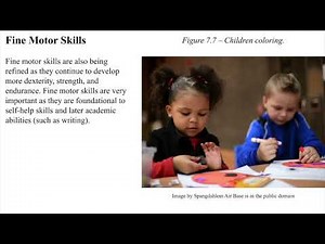 Ch. 7 Motor Skill Development