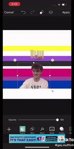 Reply to @gay.muffin247 how to make pride wallpapers with multiple flags! #pride #wallpapers #dsmp #tutorial