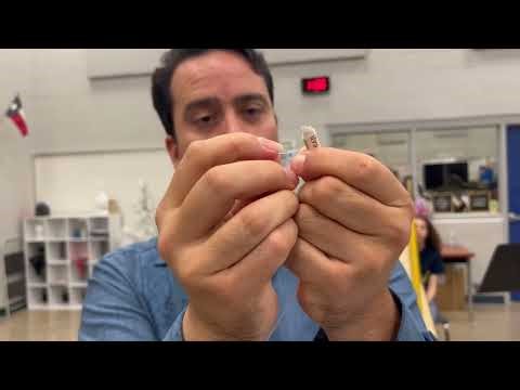 Harp Stringing 101 Willie Acuña | Mariachi Sol De Mexico Pt. 1