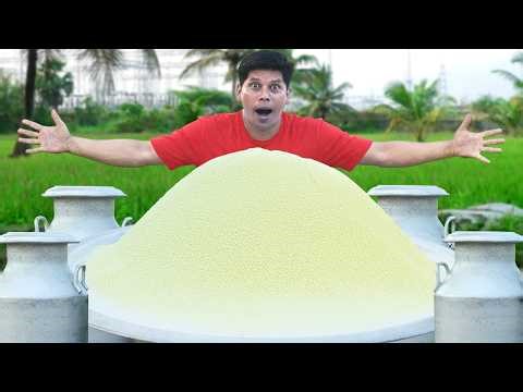 We Make Milk Powder From 50 Litter Milk | 100% Pure & Organic | പാൽപ്പൊടി വീട്ടിൽ തന്നെ ഉണ്ടാക്കാം