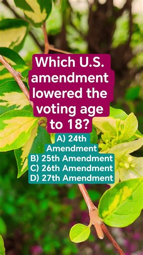 Which U.S. amendment lowered the voting age to 18?