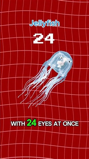 You won't believe how many eyes this animal has #science #animals #shorts