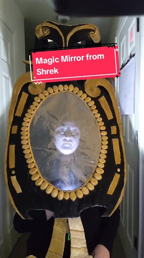 Magic Mirror Costume Ideas from Shrek