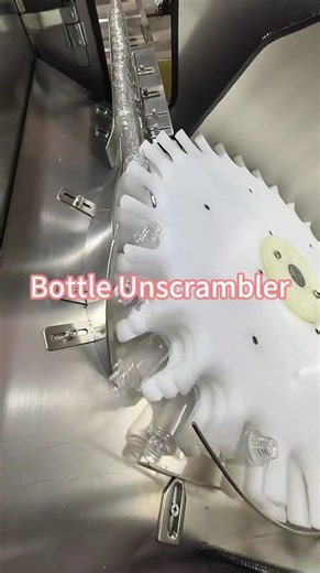 Bottle Unscrambler
