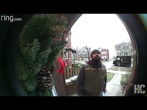 Squirrel jumps on UPS delivery man