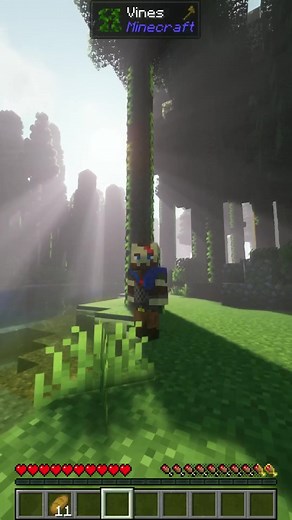 Exploring Minecraft Ambient Sounds