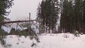 The Hell Train - 1975