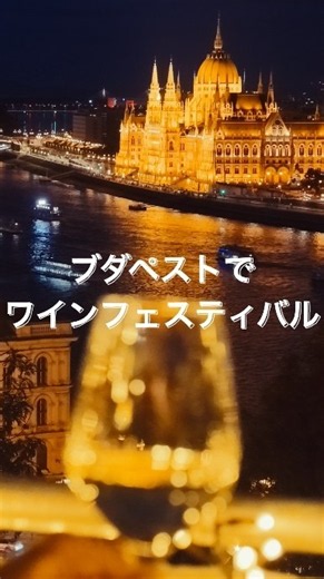 ブダ城でワインフェス！🍷 ブダペストの夜景と楽しむハンガリーワイン #shorts