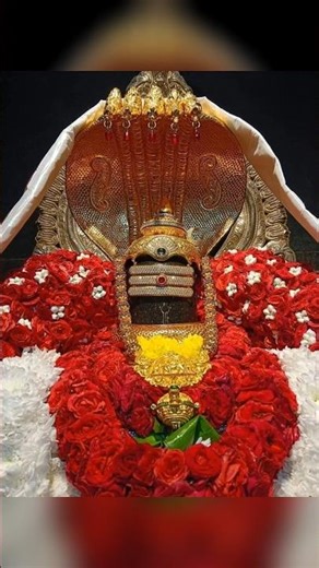🚩🔱 ओम् नमः शिवाय ॐ नमः स्वाहा तस्य 💐🙏❤️https://youtu.be/bcCP20w0WqA?si=kvRxhBSuenzdng1m