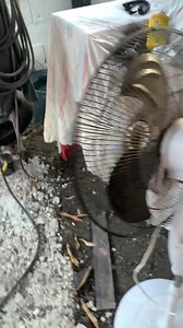 Grumman Olson 1950 busca los videos en la página | Cintron Custom 7