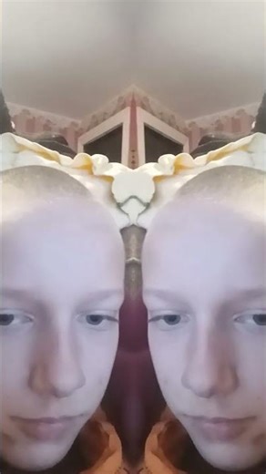 there's two of me #music #mirror #funny