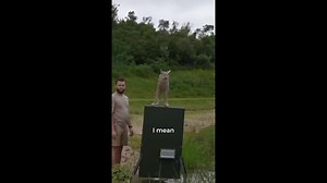 The shocking truth about my backyard pond! | Andrew Flair