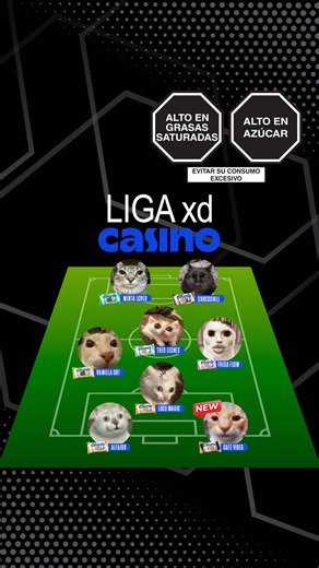 Casino Café Vibes llegó a completar el equipo 😎 #CasinoCafeVibes. Si quieres adoptar o apoyar a los gatitos del Parque Kennedy, puedes contactar a @mishiskennedyoficial