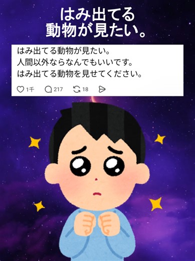 可愛い動物の写真で癒される！