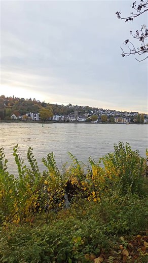 🚍🚍🚍🚍 | Nancy Moerman