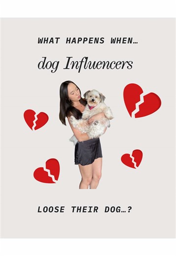 Coping with Loss: What Happens When a Dog Influencer's Pet Dies