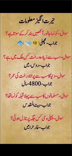 Amazing General Knowledge Quiz – Fun Facts & Trivia Challenge!