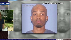 3 bodies found wrapped in plastic