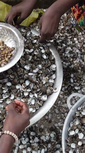 This Village Is Built on Shells From the Sea