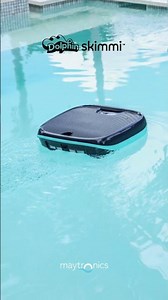 NEW Dolphin Skimmi