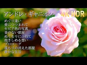 Andre Gagnon's piano pieces and roses,too beautiful./ 4K HDR