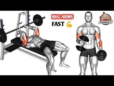 Big Arms Fast | 6 Gym Exercises