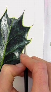 3.4K views · 210 reactions | Holly is so fun to paint in watercolour! See how to paint it at: https://www.annamasonart.com/paint-realistic-holly-leaves-christmas-card/ | Anna Mason Art | Facebook