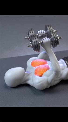 Adjustable Dumbbell Set 2kg-20kg for Home Workouts