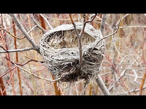 Mixes and Blends Part 1