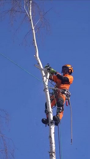 tree@technology على TikTok